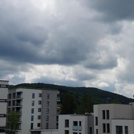Apartament Pod Szyndzielnia, Debowiec Бельсько-Бяла Екстер'єр фото