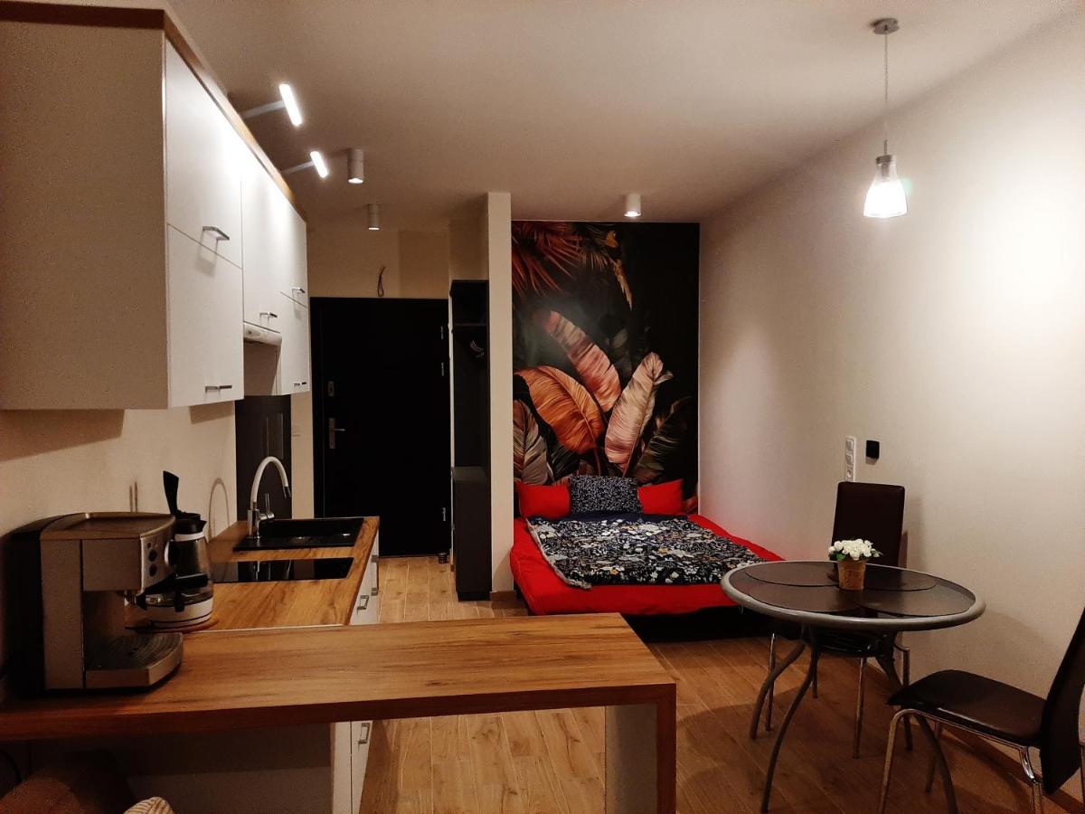 Apartament Pod Szyndzielnia, Debowiec Бельсько-Бяла Екстер'єр фото