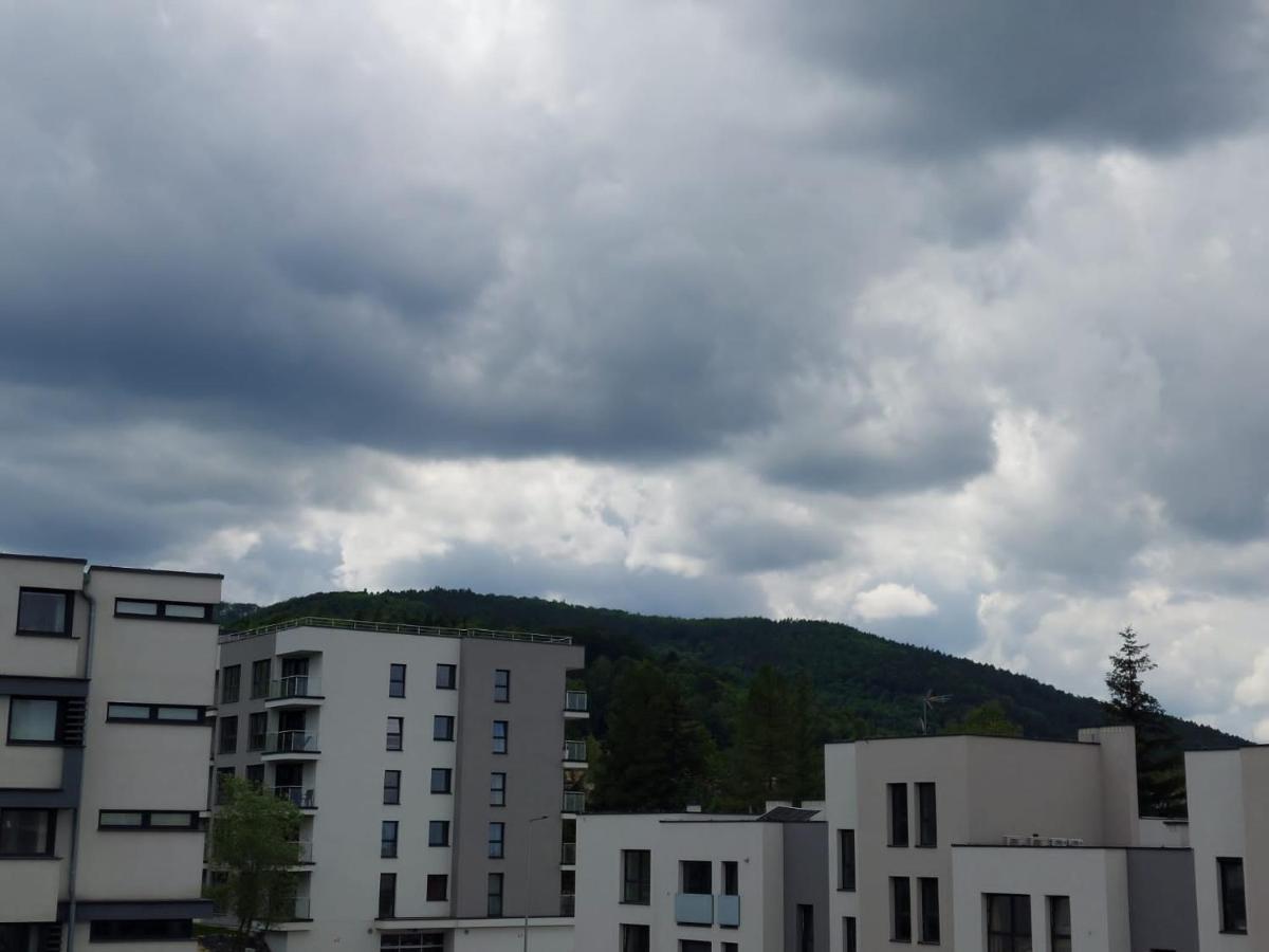 Apartament Pod Szyndzielnia, Debowiec Бельсько-Бяла Екстер'єр фото