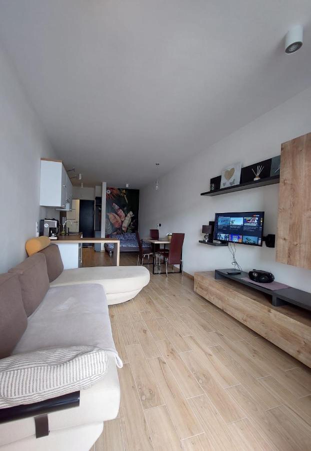 Apartament Pod Szyndzielnia, Debowiec Бельсько-Бяла Екстер'єр фото