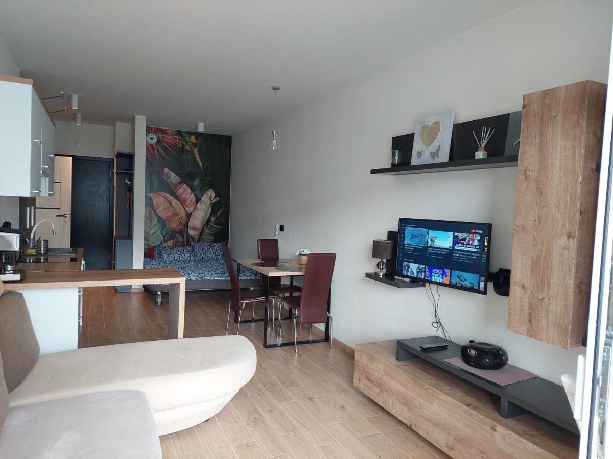 Apartament Pod Szyndzielnia, Debowiec Бельсько-Бяла Екстер'єр фото