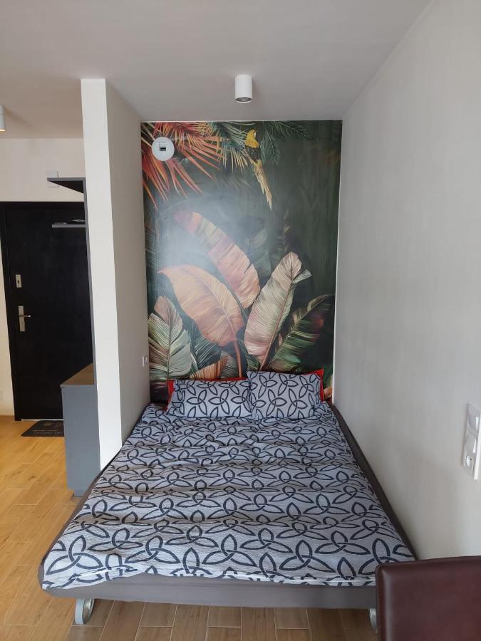 Apartament Pod Szyndzielnia, Debowiec Бельсько-Бяла Екстер'єр фото